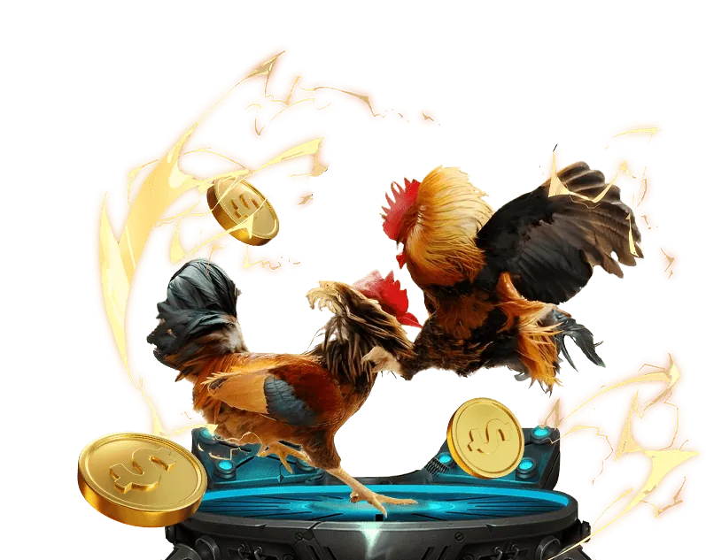 Chương Trình VIP và Khách Hàng Thân Thiết tiphu88